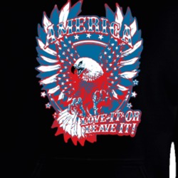 American Pride Freedom Love It Eagle Usa Hoodie 37162404