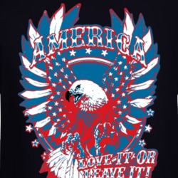 American Pride Freedom Love It Eagle Usa Long Sleeve 37162406
