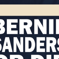 Bernie Sanders Or Die Usa President T Shirt 37179494