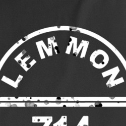 Quaalude Lemmon 714 Trending T Shirt 37572658