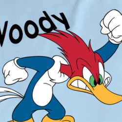 Woody Is A Pecker Funny T Shirt 37573275