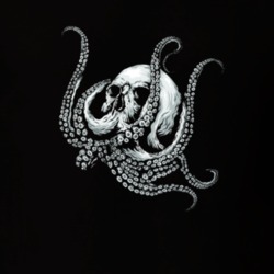 Skull Vector Design T Shirt 37575918