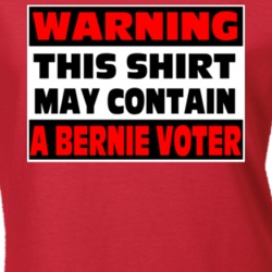 A Bernie Sanders Voter Warning Usa Election Ladies T Shirt 37578238