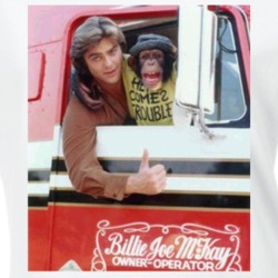 Bj And The Bear 70s Tv Show Ladies T Shirt 37579638