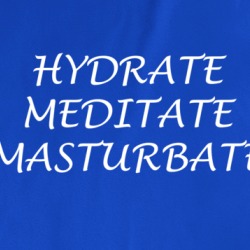 Hydrate Meditate Masturbate Funny T Shirt 37699325