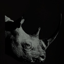 Rhino Endangered Animal Awareness Advocate T Shirt 37705247