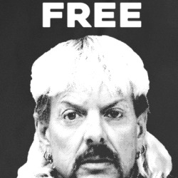 Free Joe Exotic Tiger King Big Cats Fan T Shirt 37707200