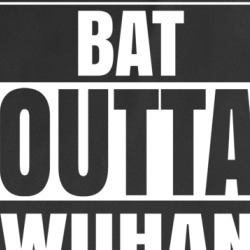 Bat Outta Wuhan City Funny Parody T Shirt 37708160