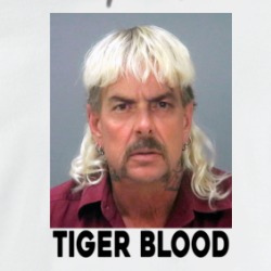 Tiger Blood Joe Exotic Charlie Sheen King Funny Parody Deepfake Hoodie 37711547