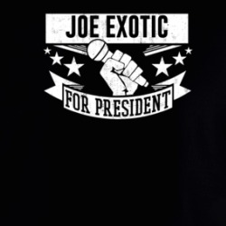 Joe Exotic For President Funny Tiger King Funny Hoodie 37711577