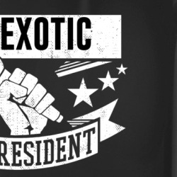Joe Exotic For President Funny Tiger King Funny Mug 37711579