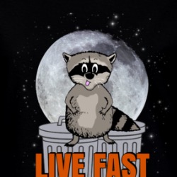 Raccoon Cute Parody Eat Trash Funny Ladies T Shirt 37832983