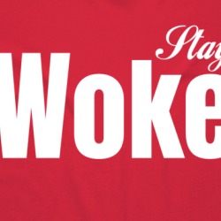 Stay Woke Parody Rise Educate T Shirt 37999477