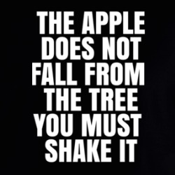 Protest Gear Blm Shake The Tree Hoodie 38015063