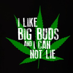 I Like Big Buds And I Can Not Lie Funny Weed T Shirt 38034985