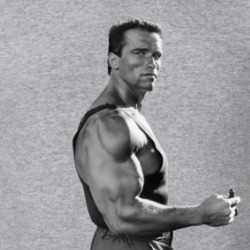 Let's Get Serious Arnold Schwarzenegger Bodybuilding Gym Gear T Shirt 38042305