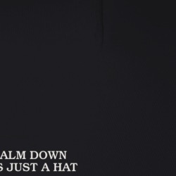 Calm Down It's Just A Hat Trucker T Shirt 38339139