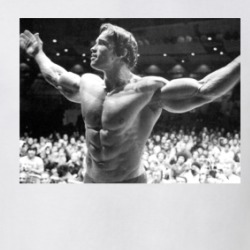 Arnold Schwarzenegger Mr Olympia Bodybuilding Gym T Shirt 38387940
