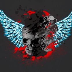 Skull And Wings Biker Grim Reaper T Shirt 38404696