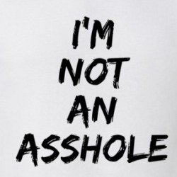 Im Not An A Hole Funny T Shirt 38406089