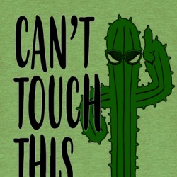 Can't Touch This Cactus Plant Love T Shirt 38440023