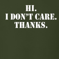 Hi I Don't Care Thanks Funny Sarcastic T Shirt 38440310