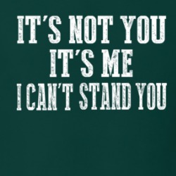 It's Not You It's Me I Can't Stand You Funny Sarcastic T Shirt 38441122