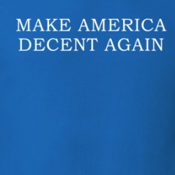 Make America Decent Again Funny American Parody T Shirt 38461993