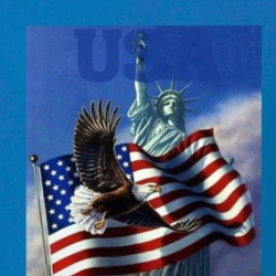 Statue Of Liberty American Eagle Usa Flag Freedom Symbols T Shirt 38462011