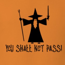 You Shall Not Pass Gandolf Harry Potter Movie Fan T Shirt 38476466