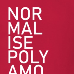 Normalize Polyamory Social Equality T Shirt 38483301