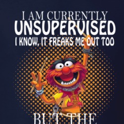 I Am Currently Unsupervised Animal Sesame Street Funny T Shirt 38499773
