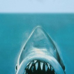 Shark Jaws Iconic Retro Fan T Shirt 38500878