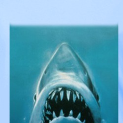 Shark Jaws Iconic Retro Fan Ladies T Shirt 38500881