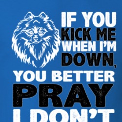 Pomeranian Kick When I'm Down Better Pray I Don't Get Up Animal Lover T Shirt 38503634