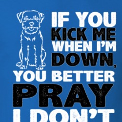 Terrier Kick When I'm Down Better Pray I Don't Get Up Animal Lover T Shirt 38503635