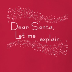 Dear Santa, Let Me Explain Funny Naughty T Shirt 38504452