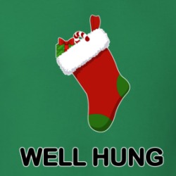 Well Hung Christmas Stocking Funny Suggestive T Shirt 38504453