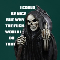 I Could Be Nice But Why The Fuck Would I Do That Funny T Shirt 38505704