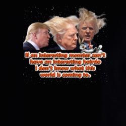Interesting Monster Parody Bugs Trump Funny Hairdo Hoodie 38508644