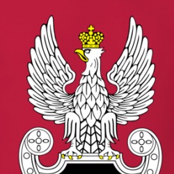 Polish Special Forces Eagle Symbol T Shirt 38523193