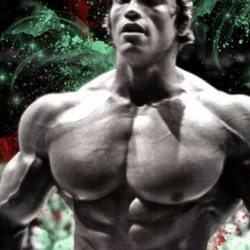 Various Sizes Arnold Quote Inspiration Gym Workout Poster 38548865