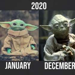 2020 Har Year Funny Parody Gorgu Yoda Fan T Shirt 38552338