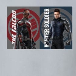 The Falcon And The Winter Soldier Tv Series Fan T Shirt 38564949