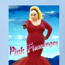 Pink Flamingos Divine 1972 Comedy Drama Movie T Shirt 38570124