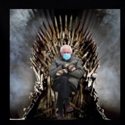 Bernie Sanders Meme Game Of Thrones Funny Parody Ladies T Shirt 38582849