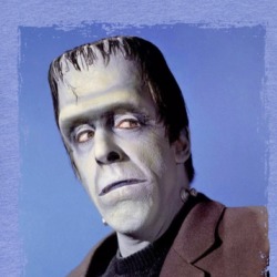 Herman Munster Funny Frankenstein Parody T Shirt 38582923