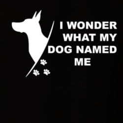 I Wonder What My Dog Named Me Funny T Shirt 38589511