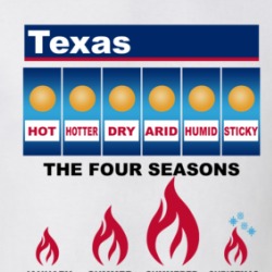Texas Weather Hot Hotter Dry Arid Humid Sticky Funny T Shirt 38589530