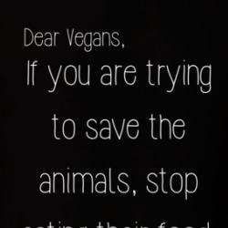 Vegans Trying To Save The Animals Stop Eating Their Food Funny T Shirt 38589540